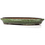 Ovale groene bonsai pot van Shuhou - 400 x 270 x 50 mm