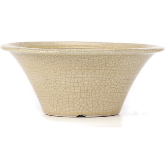 Satomi Mazan, Mazan Terahata Vaso per bonsai beige craquelé da 260 mm di Terahata Satomi Mazan, Tokoname, Giappone