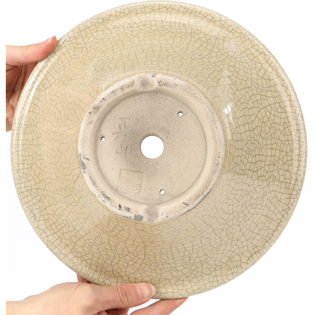 Pot à bonsaï rond beige craquelé par Terahata Satomi Mazan - 260 x 260 x 104 mm