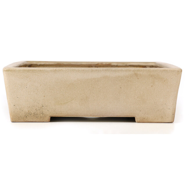 Maceta de bonsái rectangular beige de Koyou - 444 x 333 x 92 mm