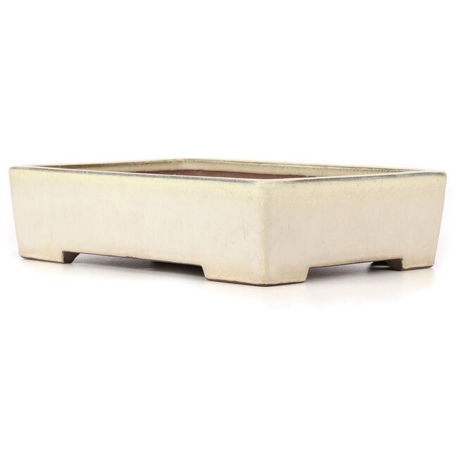 Maceta de bonsái rectangular beige - 410 x 300 x 105 mm