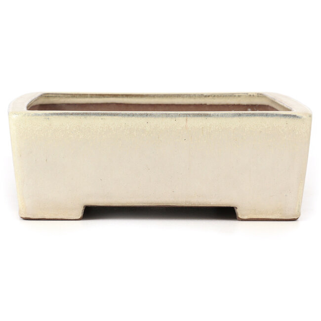 Pot à bonsaï rectangulaire beige - 410 x 300 x 105 mm