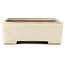 Rectangular beige bonsai pot - 410 x 300 x 105 mm