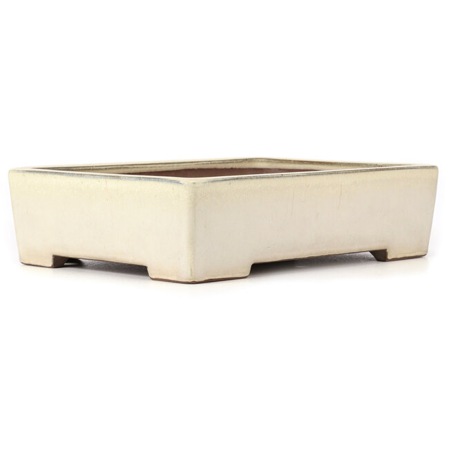 Vaso bonsai rettangolare beige - 410 x 300 x 105 mm