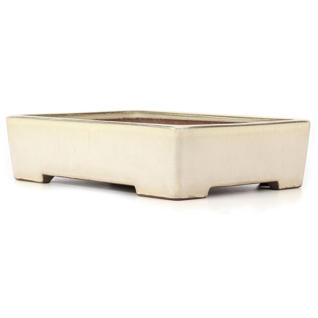 Vaso bonsai rettangolare beige - 410 x 300 x 105 mm
