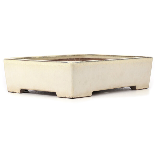 Pot à bonsaï rectangulaire beige - 410 x 300 x 105 mm