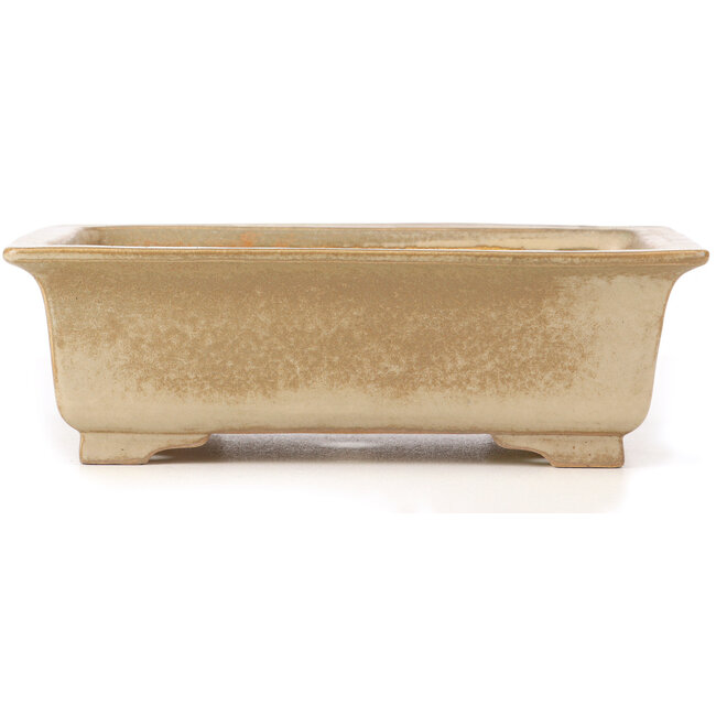 Rechthoekige beige bonsaipot van Koyou - 337 x 257 x 103 mm