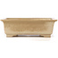 Rechteckige beige Bonsaischale von Koyou - 337 x 257 x 103 mm