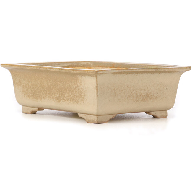 Rechthoekige beige bonsaipot van Koyou - 337 x 257 x 103 mm