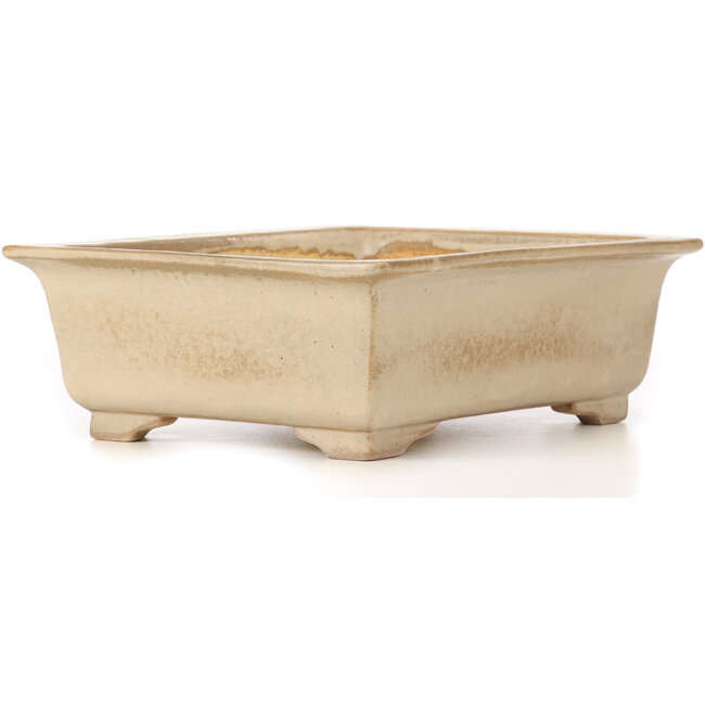Pot à bonsaï rectangulaire beige par Koyou - 337 x 257 x 103 mm