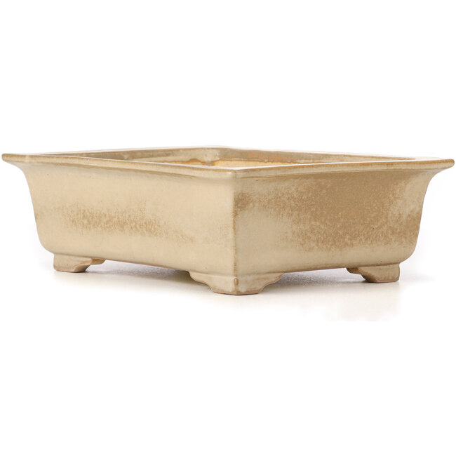 Pot à bonsaï rectangulaire beige par Koyou - 337 x 257 x 103 mm