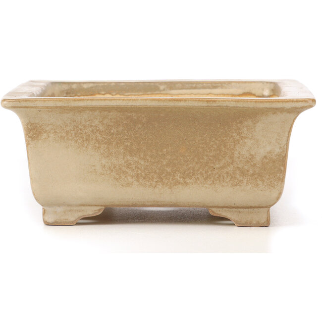 Rechthoekige beige bonsaipot van Koyou - 337 x 257 x 103 mm