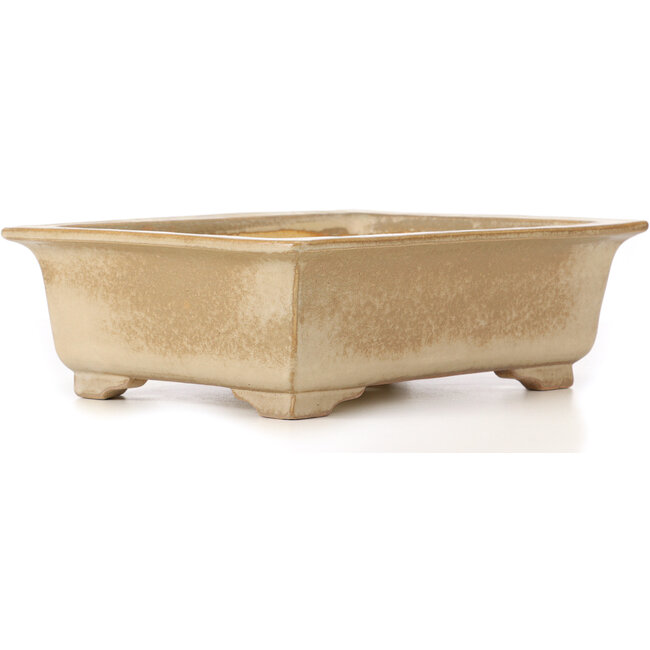 Pot à bonsaï rectangulaire beige par Koyou - 337 x 257 x 103 mm
