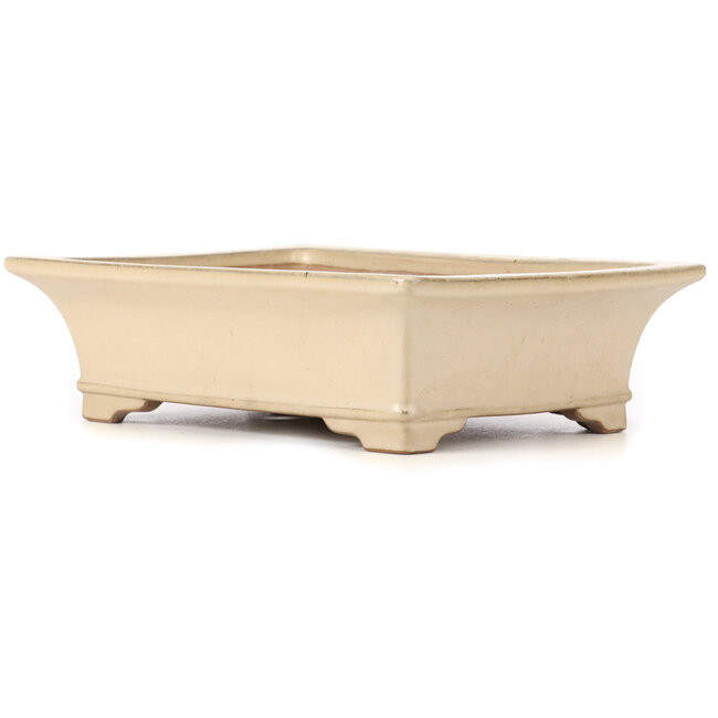 Pot à bonsaï rectangulaire beige par Reiho - 380 x 280 x 108 mm