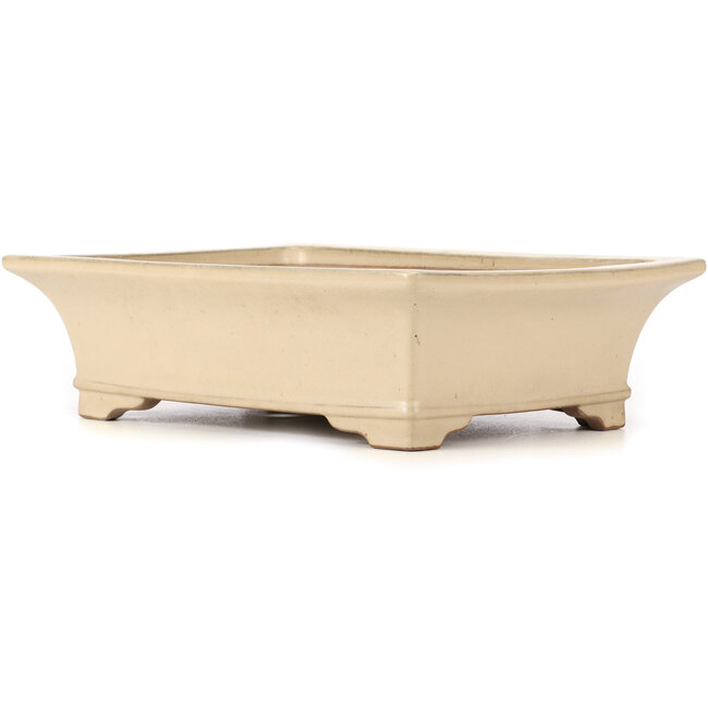 Maceta de bonsái rectangular beige de Reiho - 380 x 280 x 108 mm