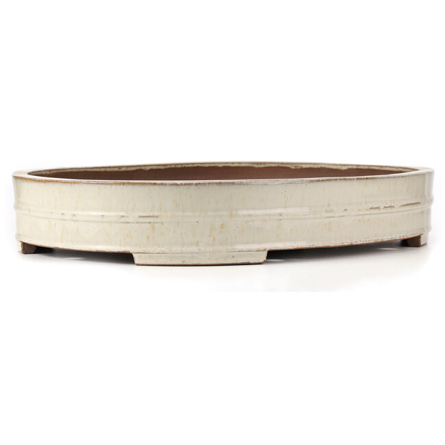 Ovale cremefarbene Bonsaischale von Haru Matsu - 570 x 420 x 92 mm