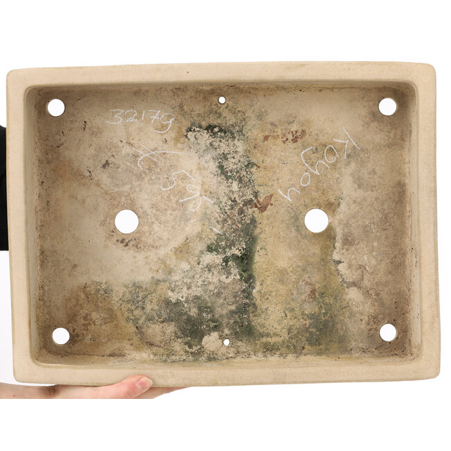 Vaso bonsai rettangolare beige di Koyou - 444 x 333 x 92 mm