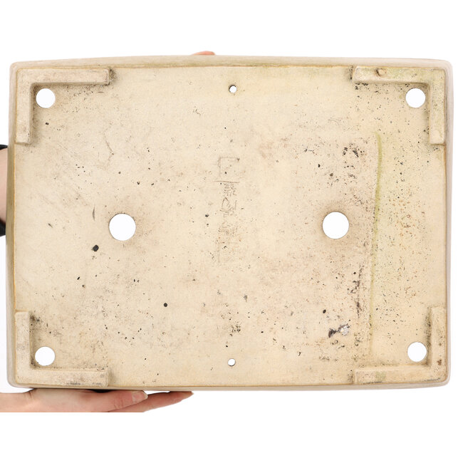 Pot à bonsaï rectangulaire beige par Koyou - 444 x 333 x 92 mm