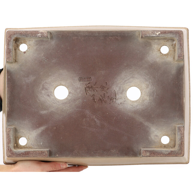Rectangular beige bonsai pot by Yamaaki - 403 x 300 x 107 mm