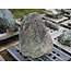 Shikoku Stone, Roccia Ornamentale Giapponese