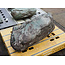 Piedra Shikoku, roca ornamental japonesa