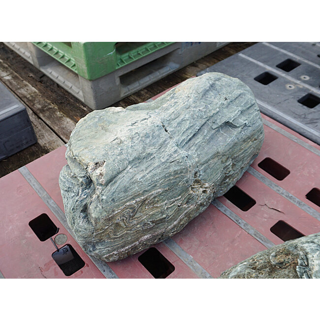 Shikoku Stone, Japanese Ornamental Rock