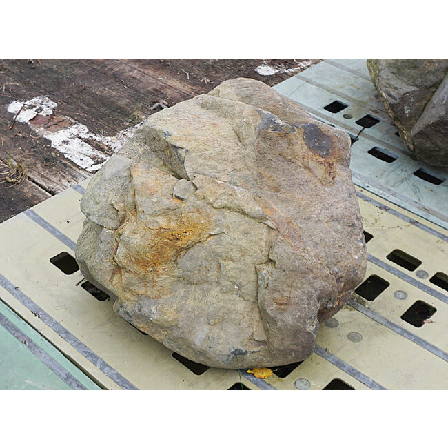 Ibiguro Stone, Japanese Ornamental Rock