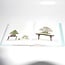 Kokufu Bonsai Ausstellungskatalog Nr. 89 – 2015