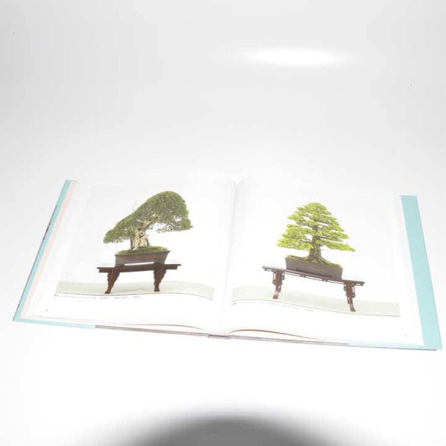 Kokufu Bonsai Ausstellungskatalog Nr. 89 – 2015