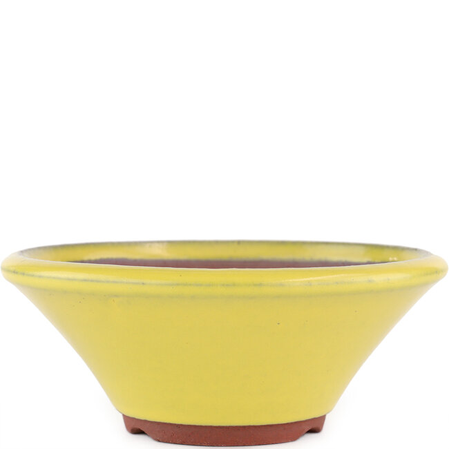 Round yellow bonsai pot by Eime Yozan - 170 x 170 x 65 mm