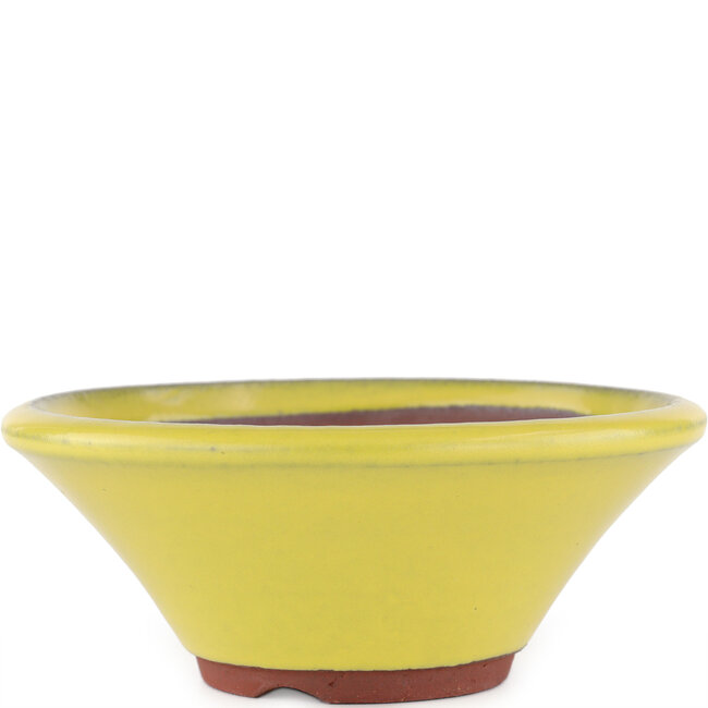 Vaso bonsai rotondo giallo di Eime Yozan - 170 x 170 x 65 mm