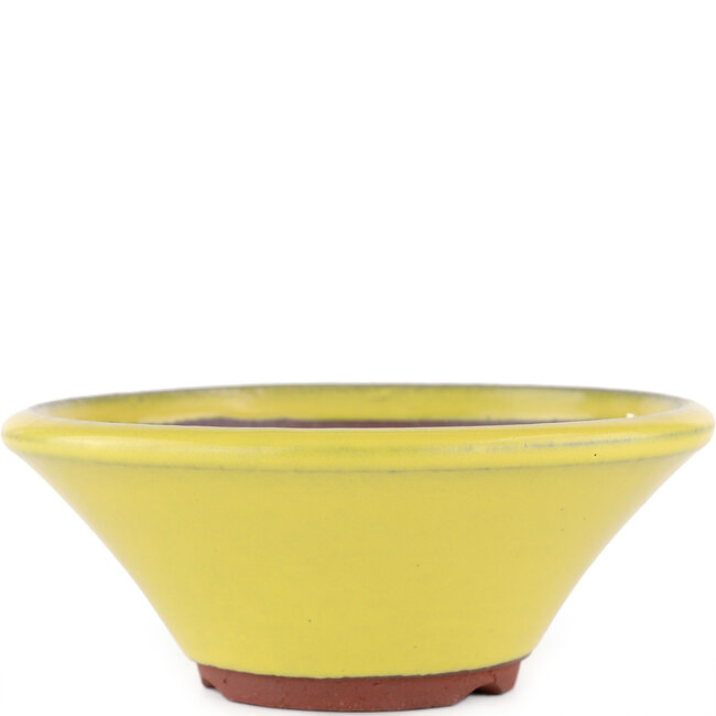 Vaso bonsai rotondo giallo di Eime Yozan - 170 x 170 x 65 mm