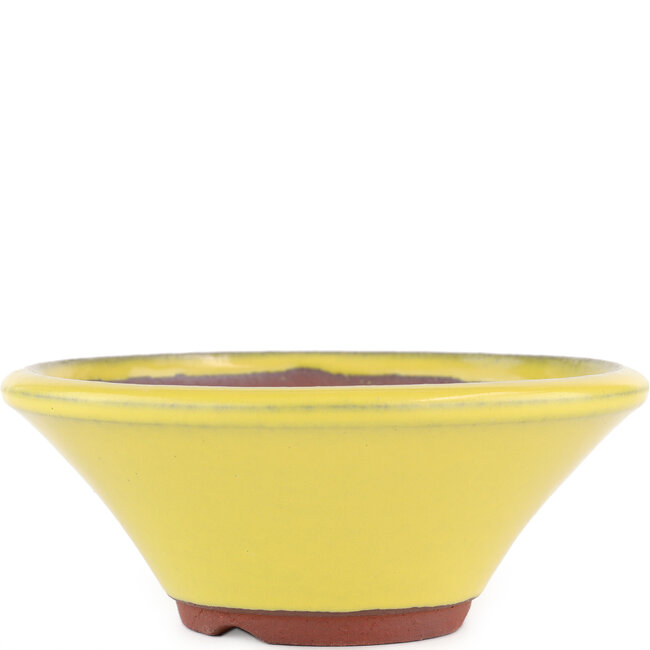 Vaso bonsai rotondo giallo di Eime Yozan - 170 x 170 x 65 mm
