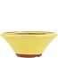 Vaso bonsai rotondo giallo di Eime Yozan - 170 x 170 x 65 mm