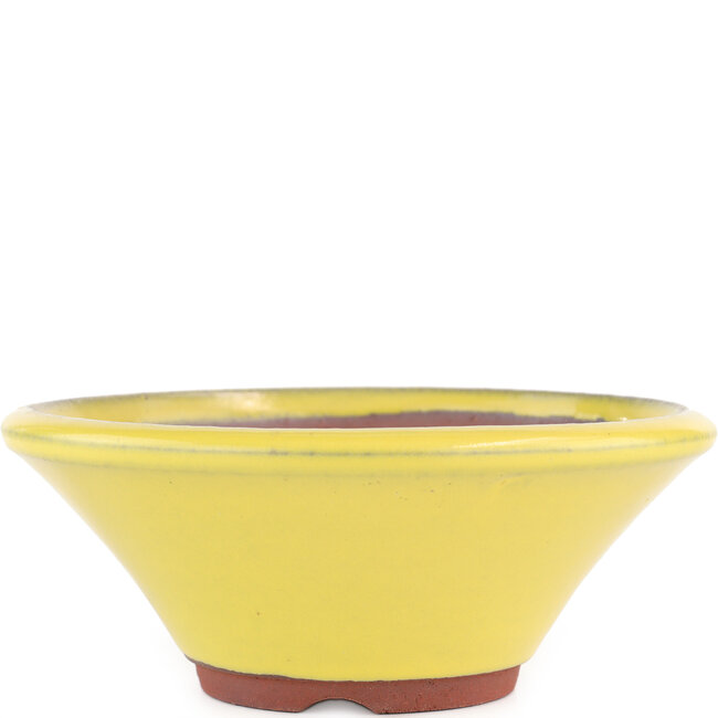 Maceta redonda para bonsái amarilla de Eime Yozan - 170 x 170 x 65 mm