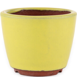  Eimei ( Yozan kiln) Pot à bonsaï jaune 90 mm par Eime Yozan, Tokoname, Japon