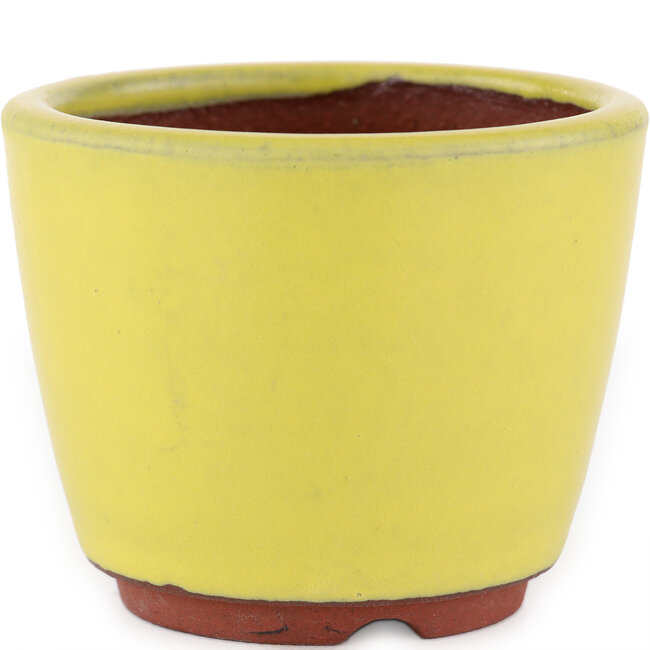 Vaso bonsai rotondo giallo di Eime Yozan - 90 x 90 x 75 mm