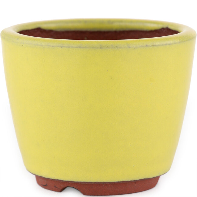 Maceta redonda para bonsái amarilla de Eime Yozan - 90 x 90 x 75 mm