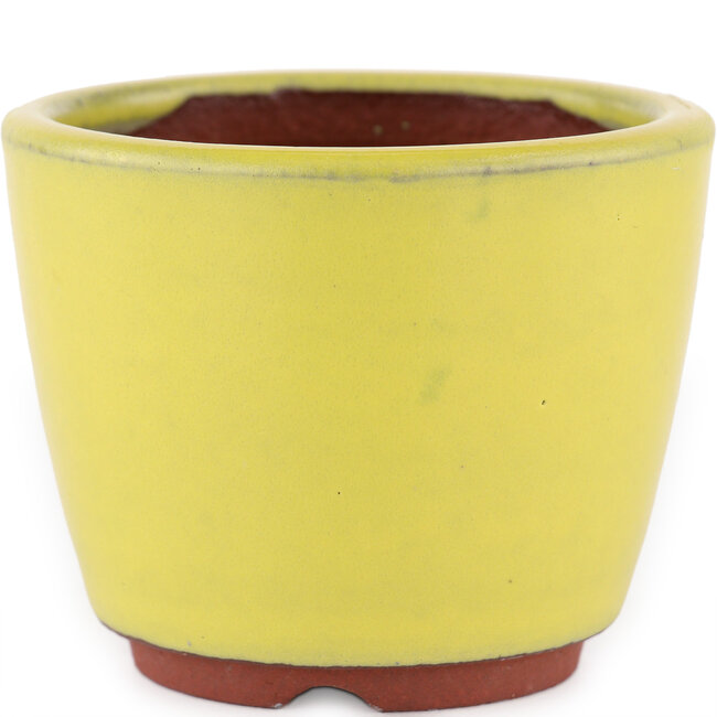 Pot à bonsaï rond jaune par Eime Yozan - 90 x 90 x 75 mm