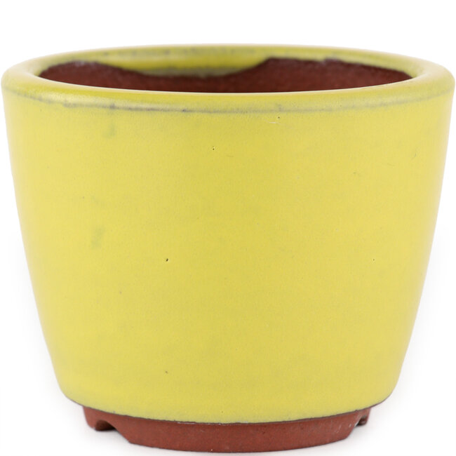 Round yellow bonsai pot by Eime Yozan - 90 x 90 x 75 mm