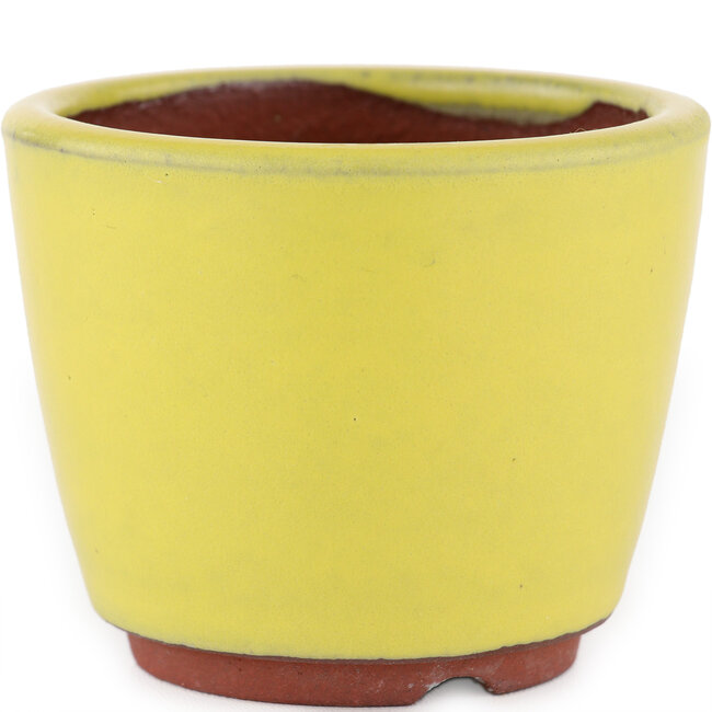 Maceta redonda para bonsái amarilla de Eime Yozan - 90 x 90 x 75 mm