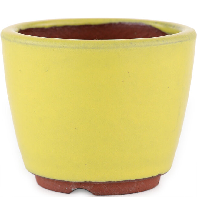 Round yellow bonsai pot by Eime Yozan - 90 x 90 x 75 mm