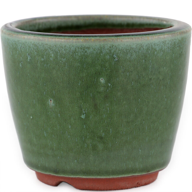 Round green bonsai pot by Eime Yozan - 90 x 90 x 70 mm