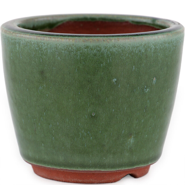 Vaso bonsai rotondo verde di Eime Yozan - 90 x 90 x 70 mm
