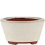 Vaso bonsai rotondo bianco sporco di Eime Yozan - 100 x 100 x 55 mm