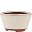 Vaso bonsai rotondo bianco sporco di Eime Yozan - 100 x 100 x 55 mm