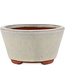 Vaso bonsai rotondo bianco sporco di Eime Yozan - 100 x 100 x 55 mm