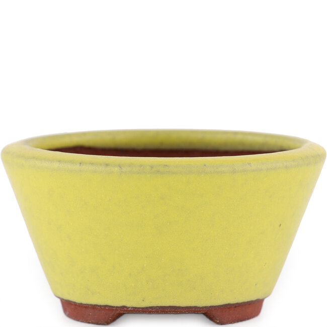 Vaso bonsai rotondo giallo di Eime Yozan - 90 x 90 x 45 mm