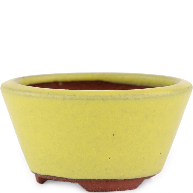 Maceta redonda para bonsái amarilla de Eime Yozan - 90 x 90 x 45 mm