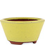 Pot à bonsaï rond jaune par Eime Yozan - 90 x 90 x 45 mm
